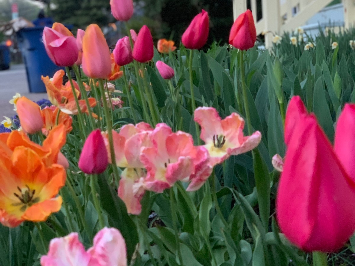 birthday check in: so how was being&nbsp;25?